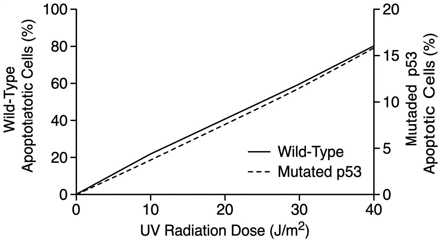 Dual y-axis line graph where the wild-type and mutated cell lines look identical, but the right y-axis is scaled much smaller than the left y-axis.