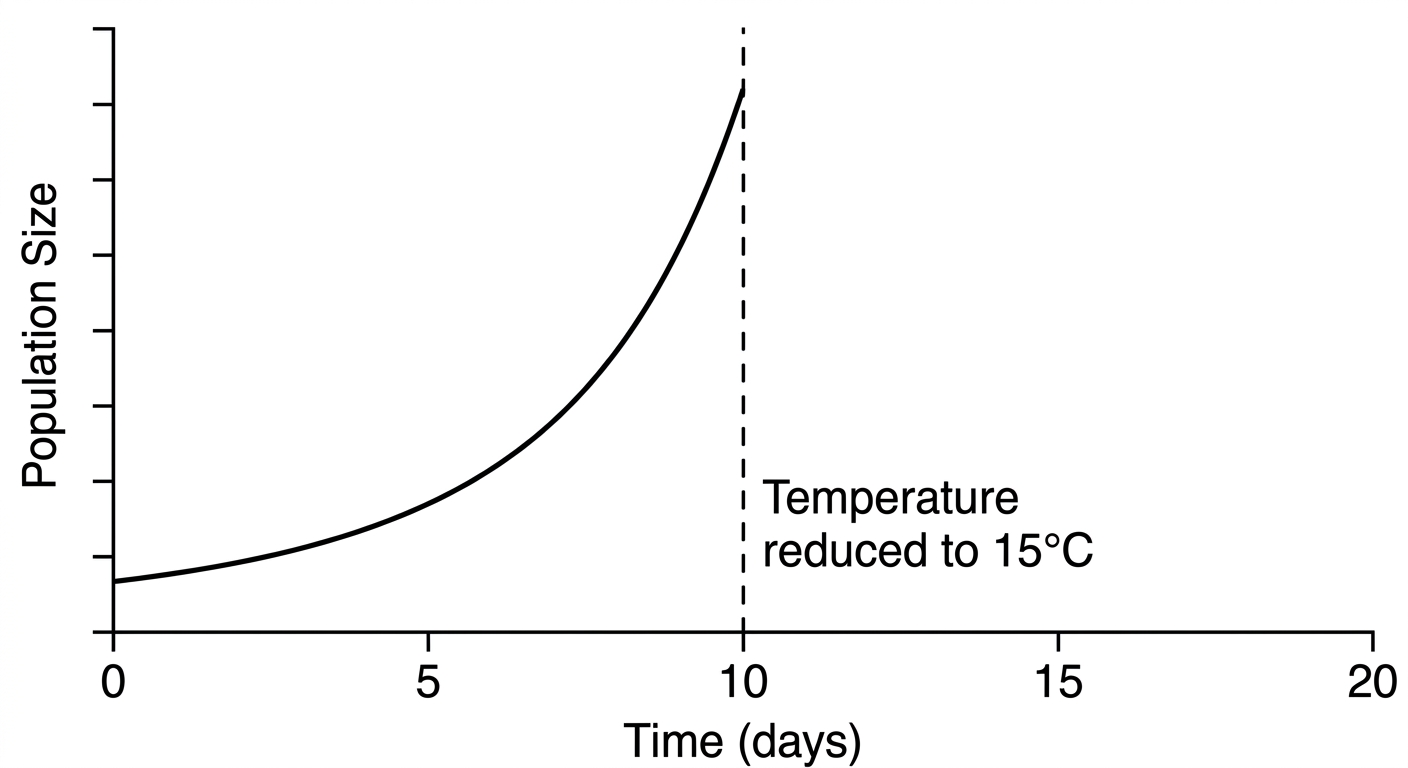 Line graph showing exponential population growth up to day 10, with the remainder of the graph left blank for prediction.