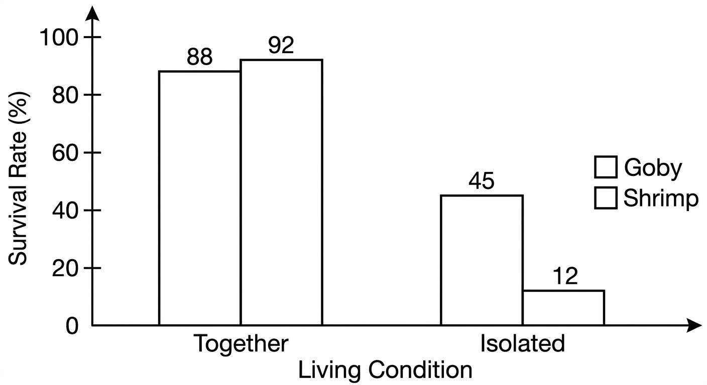 Bar chart showing significantly higher survival rates for both goby fish and pistol shrimp when living together compared to living isolated.