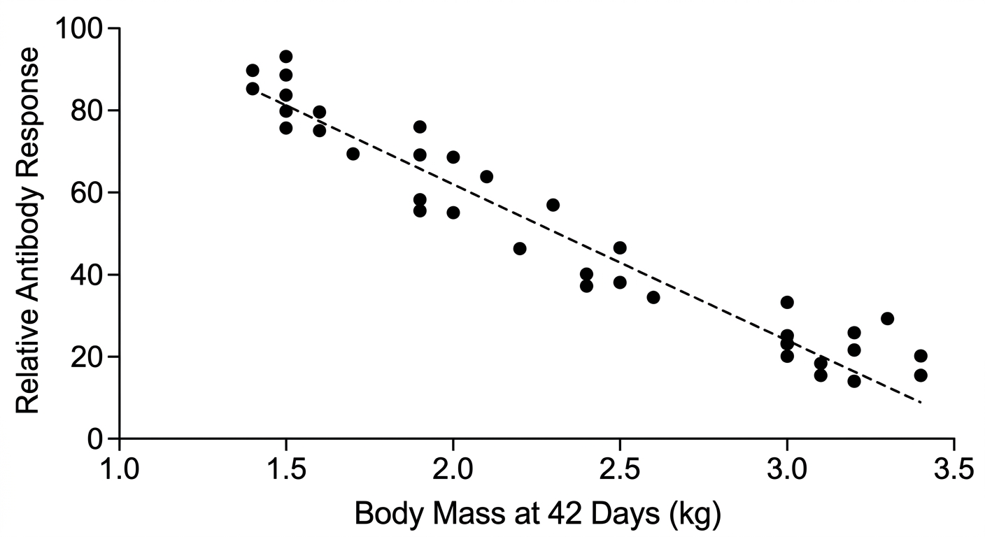 Scatter plot showing a negative correlation between chicken body mass and antibody response.