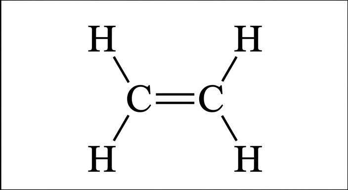 Answer choice C