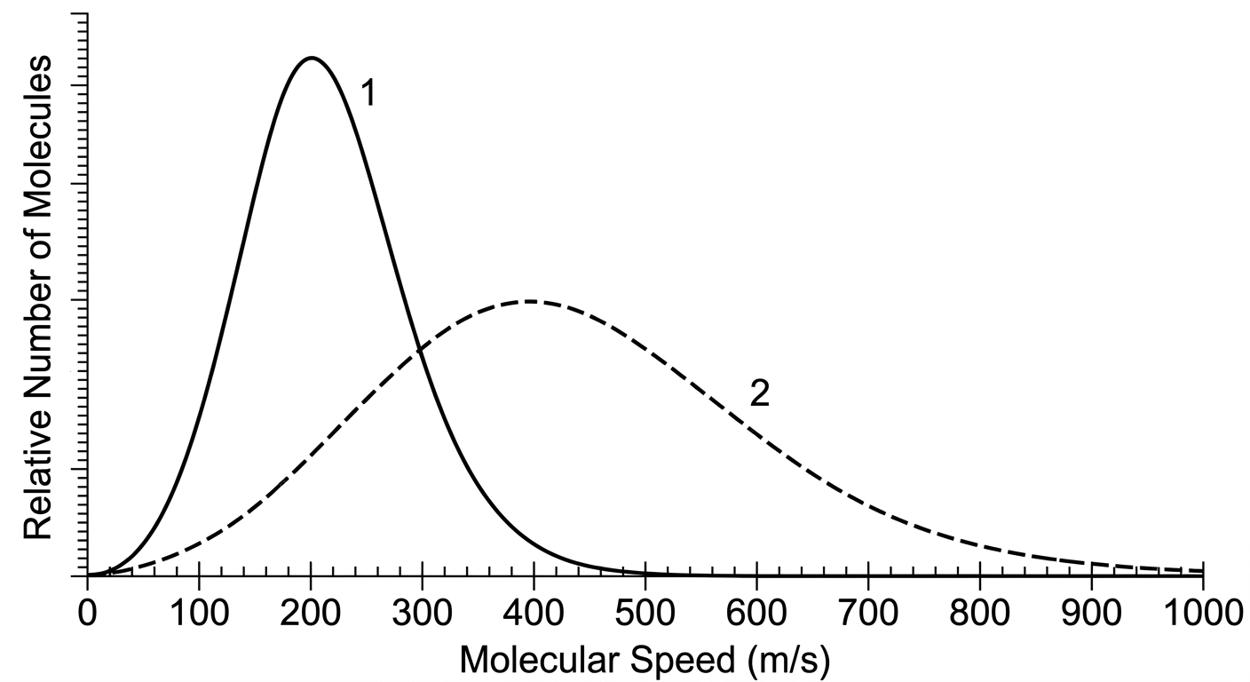 Maxwell-Boltzmann distribution showing two curves. The solid curve peaks at 200 m/s and the dashed curve is broader, peaking at 400 m/s.
