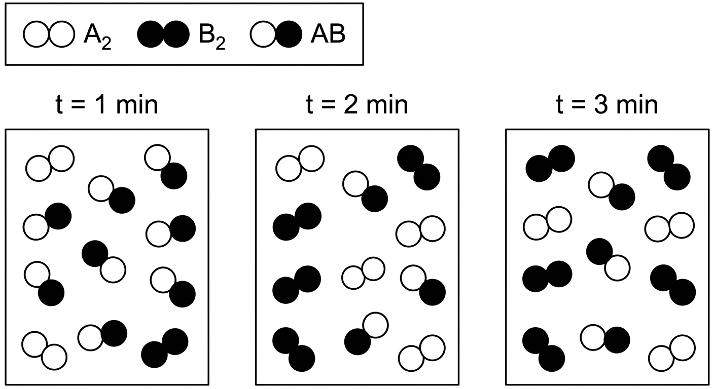 Three flasks showing molecules reacting over time. Product AB decreases and reactants A2 and B2 increase from minute 1 to 2, then remain constant from minute 2 to 3.
