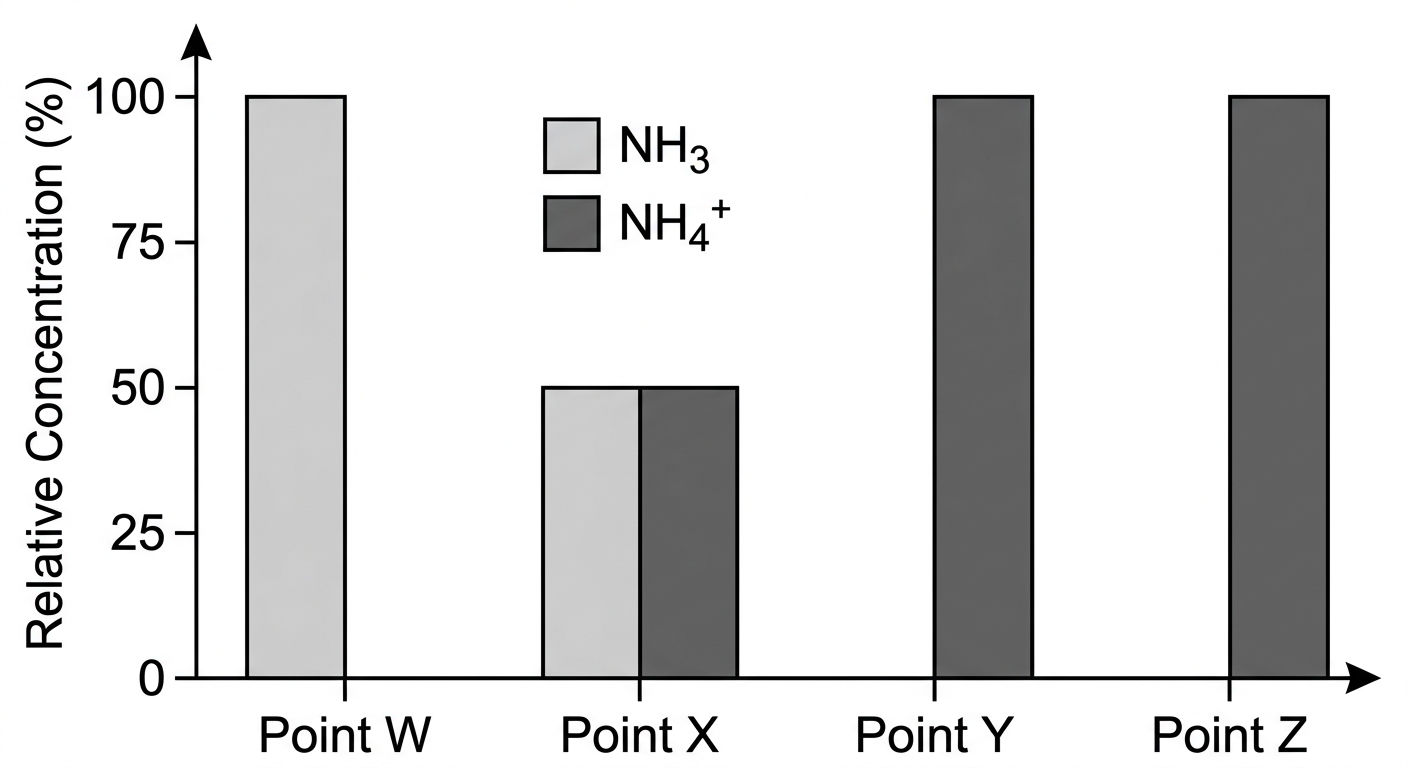Bar chart showing the relative concentrations of NH3 and NH4+ changing from 100% NH3 to a 50/50 mixture, and finally to 100% NH4+.