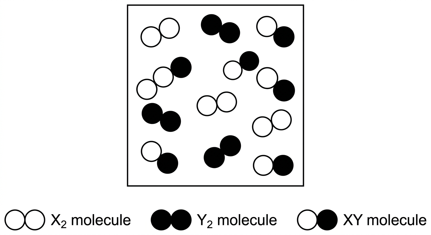 Answer choice B