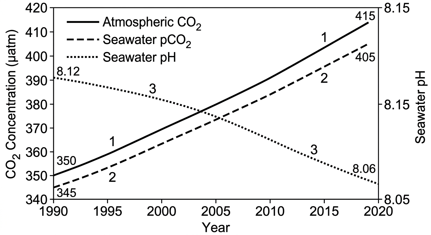 Graph showing atmospheric and seawater CO2 increasing over 30 years while seawater pH steadily decreases.