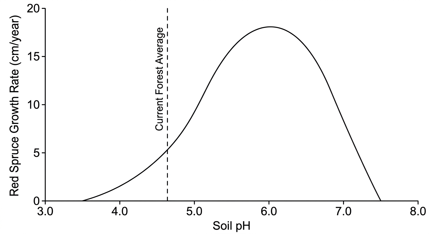 Line graph showing Red Spruce growth peaking between pH 5.5 and 6.5, with current forest conditions at pH 4.6 where growth is severely reduced.