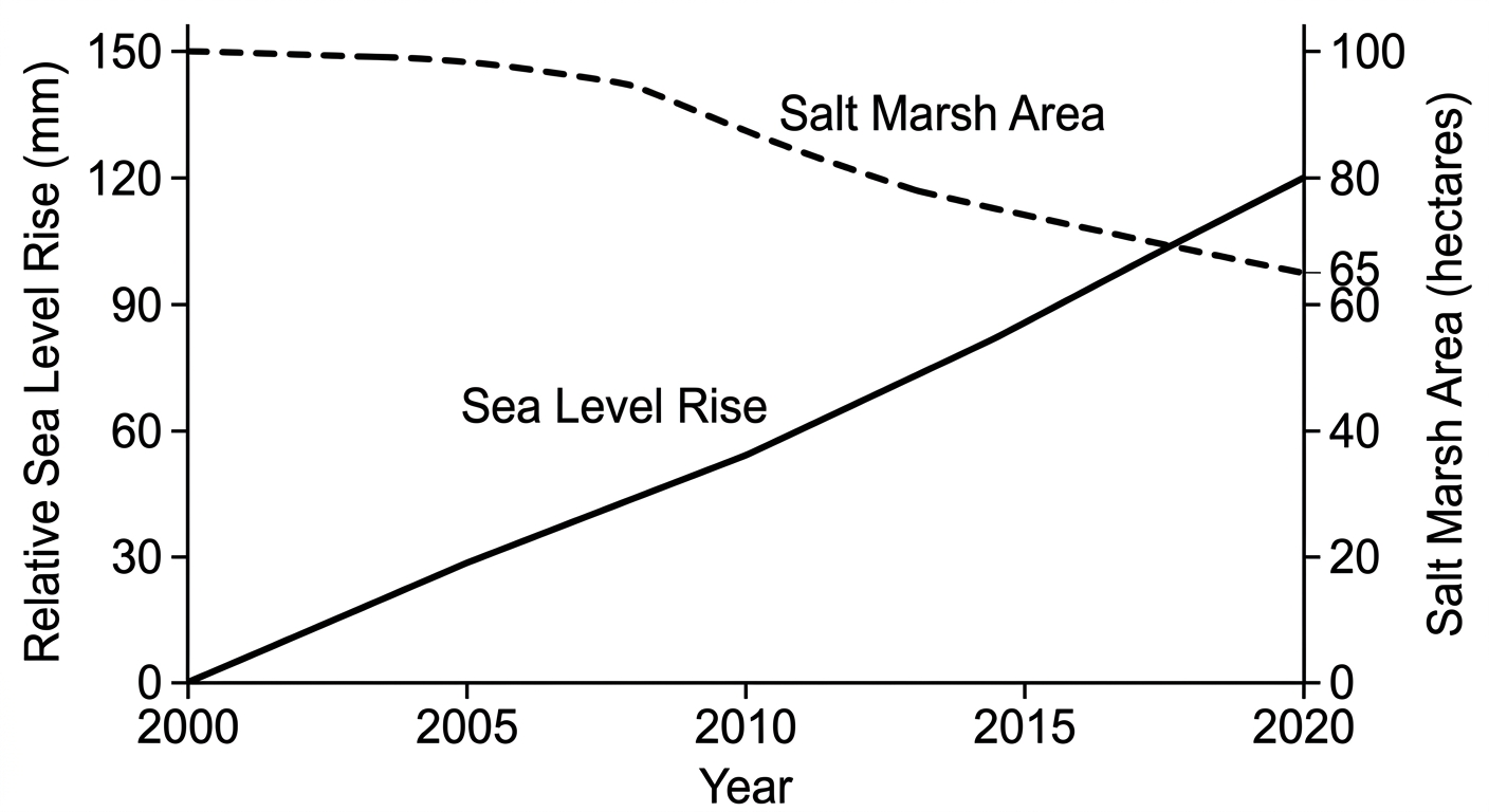 Line graph showing a steady increase in relative sea level over 20 years corresponding with a 35% decrease in salt marsh area over the same period.