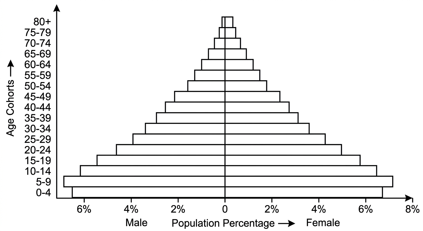 Age structure diagram with a wide base at the bottom that narrows quickly toward the top.
