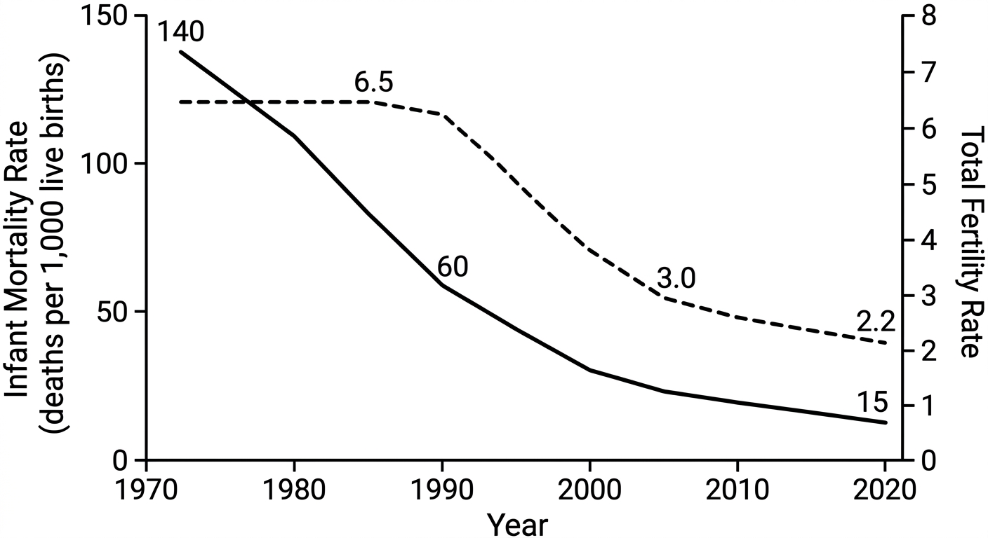 Line graph showing infant mortality rate declining steeply starting in 1970, followed by a steep decline in total fertility rate starting in 1985.