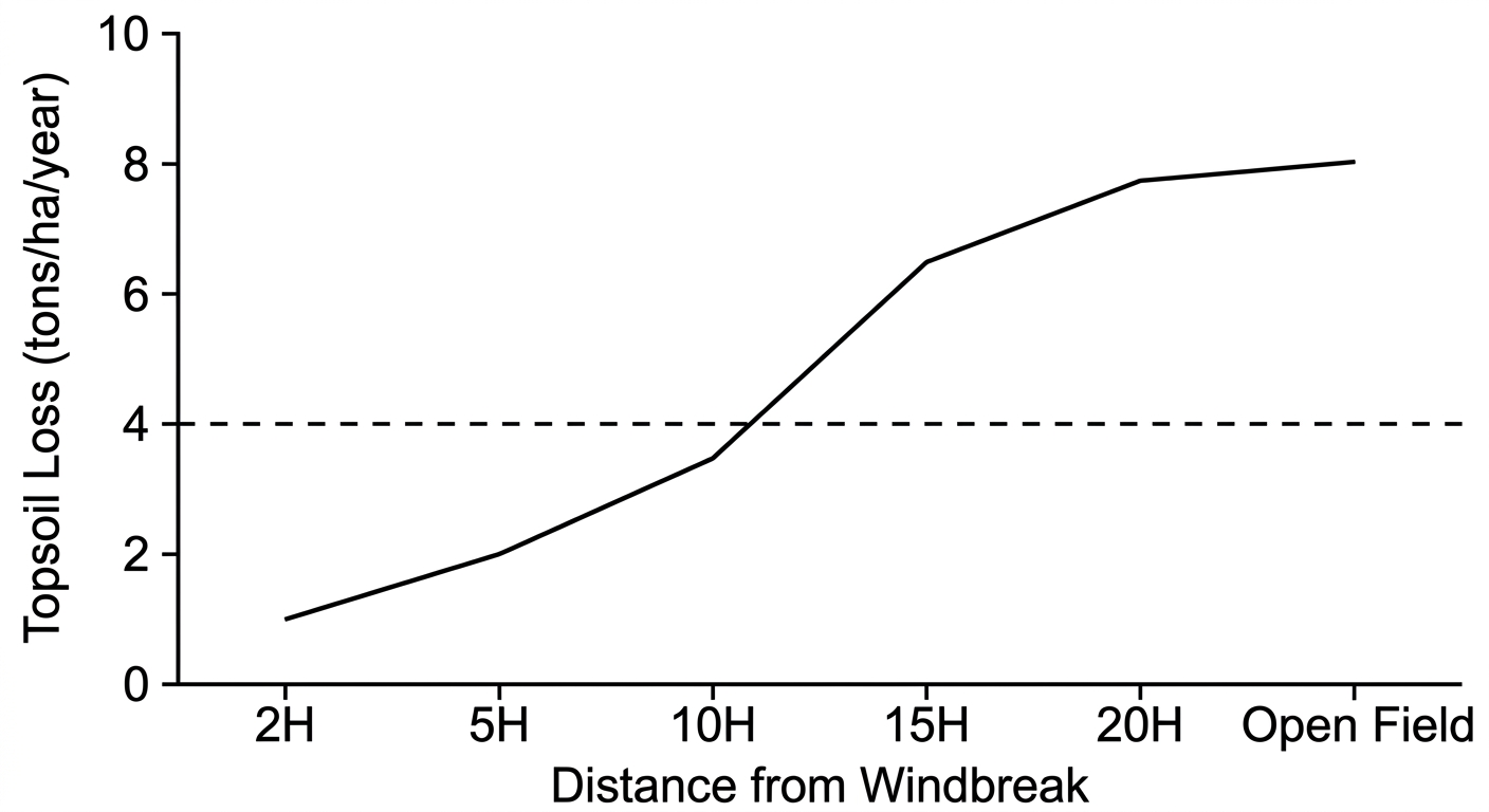 Line graph showing topsoil loss increasing as distance from a windbreak increases, reaching 3.5 tons/ha at 10H and 8.0 tons/ha in the open field.