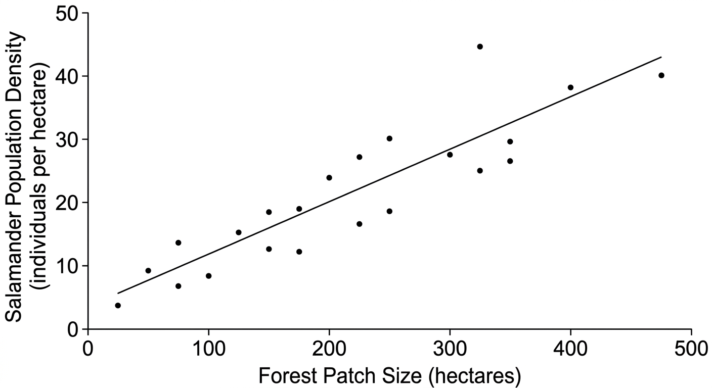 Scatter plot showing a positive correlation between forest patch size and salamander population density