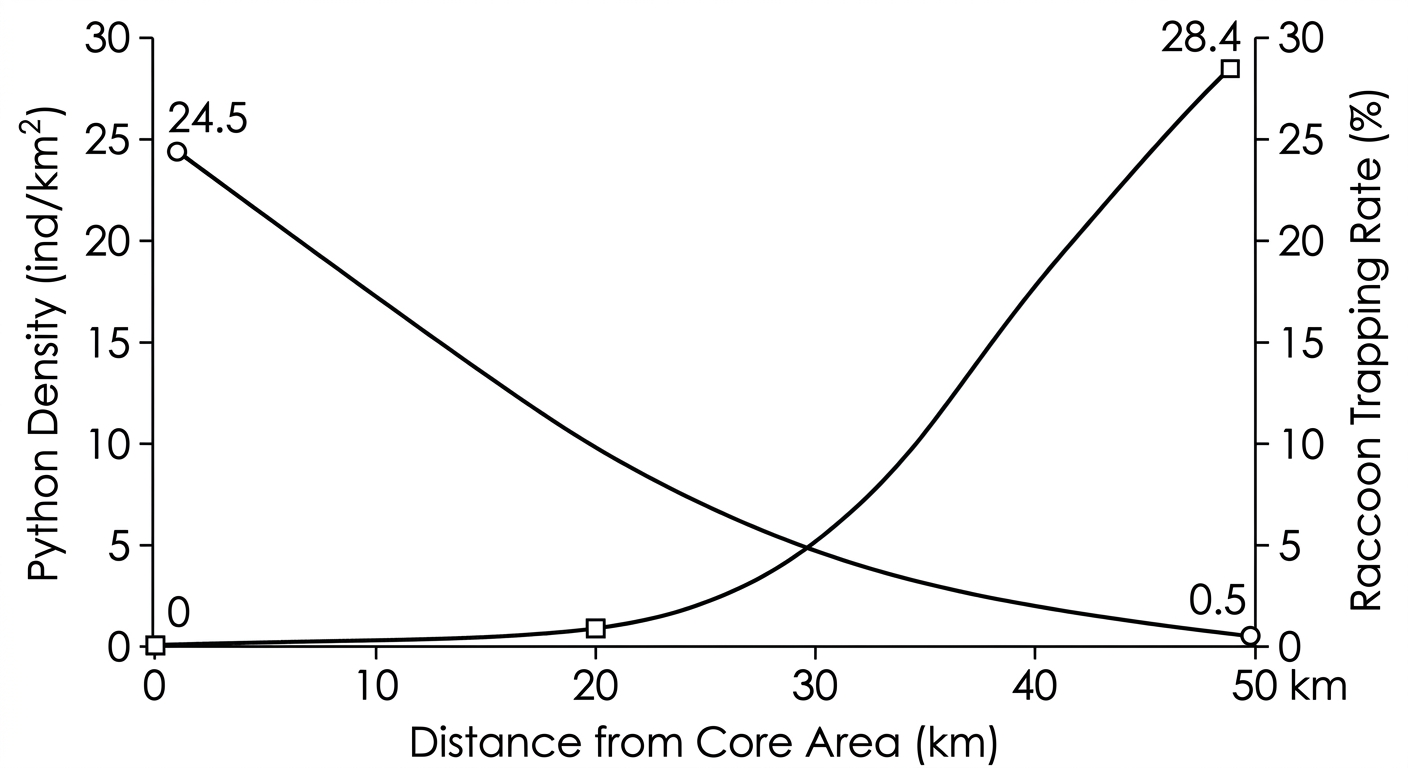 Dual-axis graph showing python density decreasing linearly with distance, while raccoon trapping rate remains near zero before increasing exponentially at farther distances.