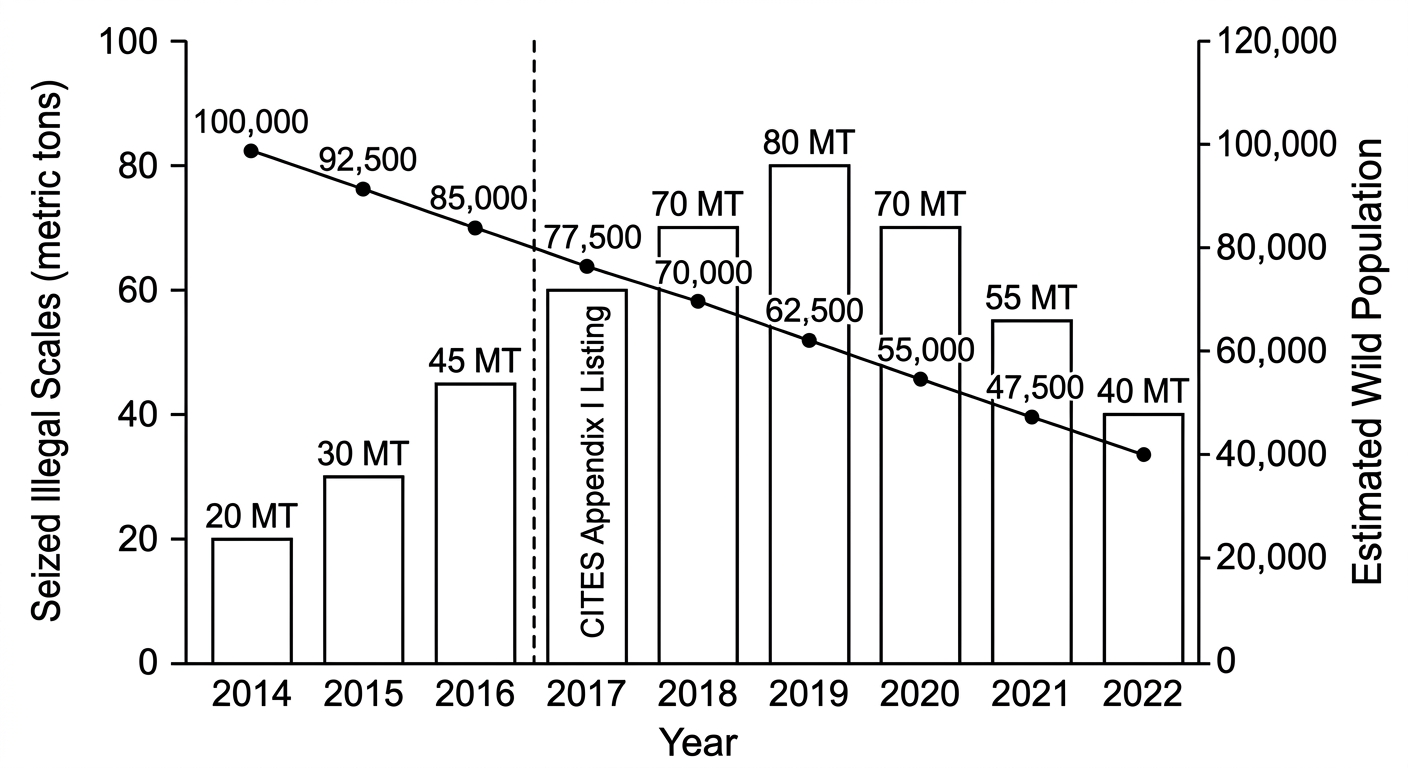Chart showing pangolin wild populations steadily declining from 2014 to 2022 despite a 2017 trade ban, while illegal scale seizures remain high.