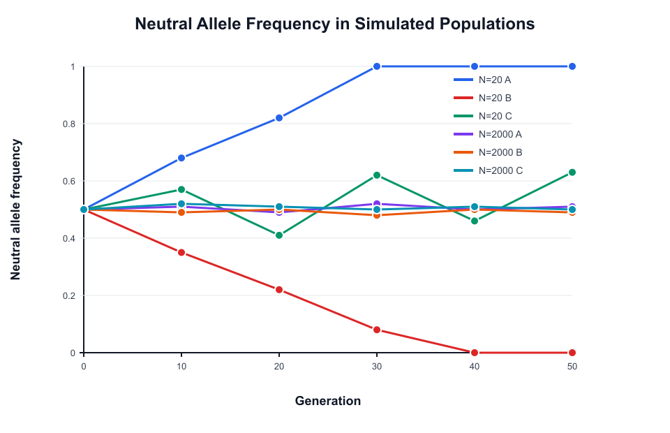 Neutral Allele Frequency in Simulated Populations