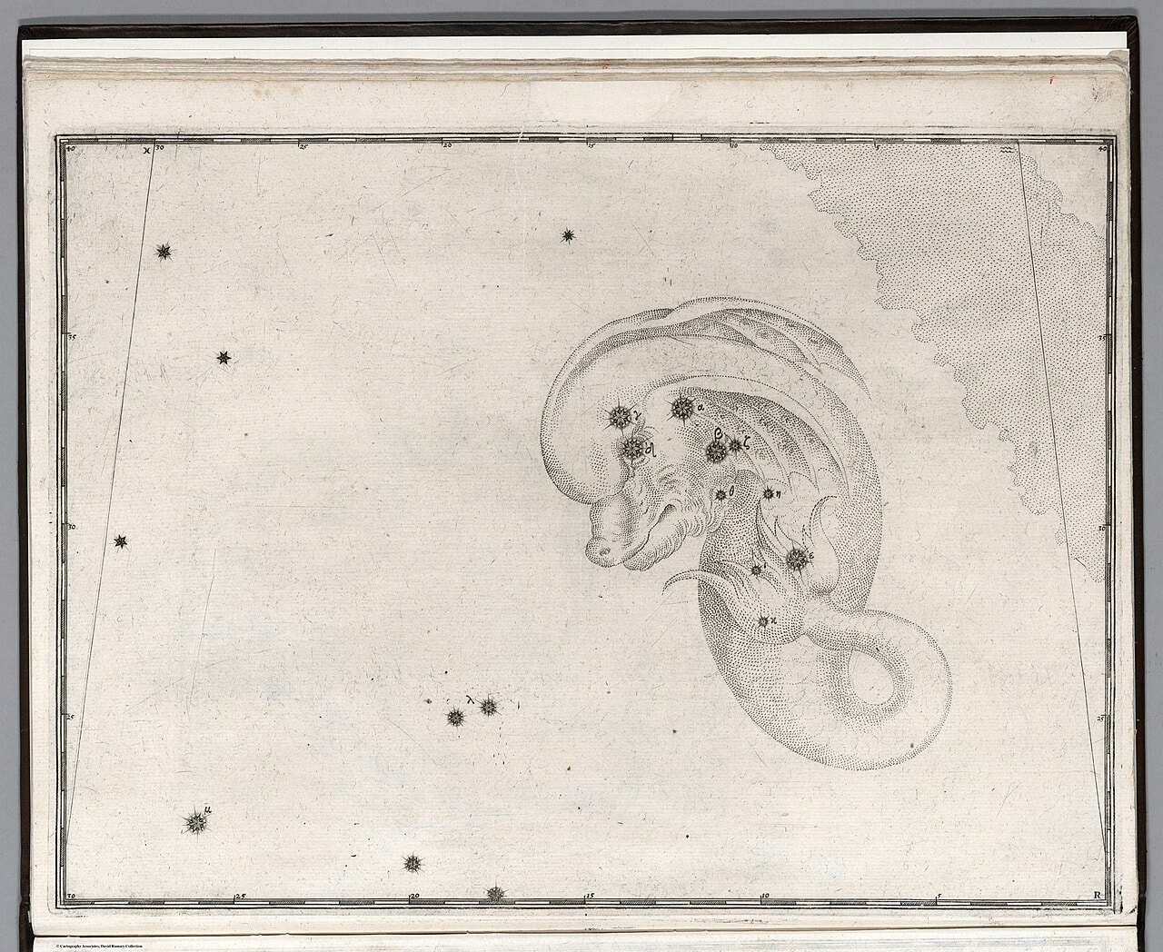 Constellation- Delphinus, a Dolphin. (IA dr constellation-delphinus-a-dolphin-12181019)